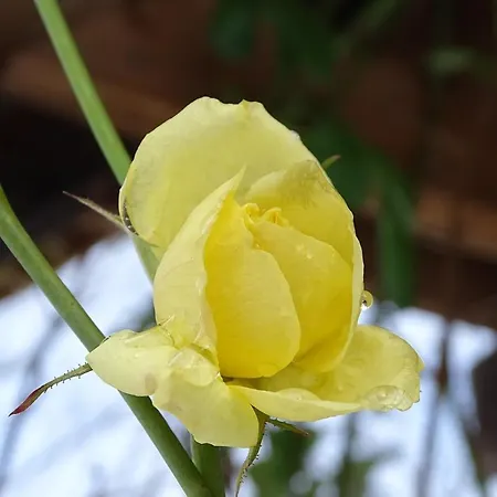 & Am Kurfuerstendamm