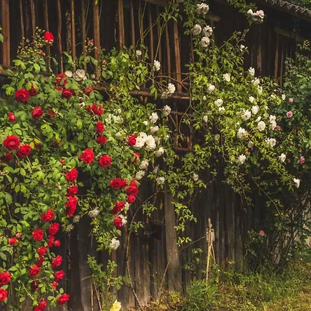 게스트하우스 & Am Kurfuerstendamm 3*