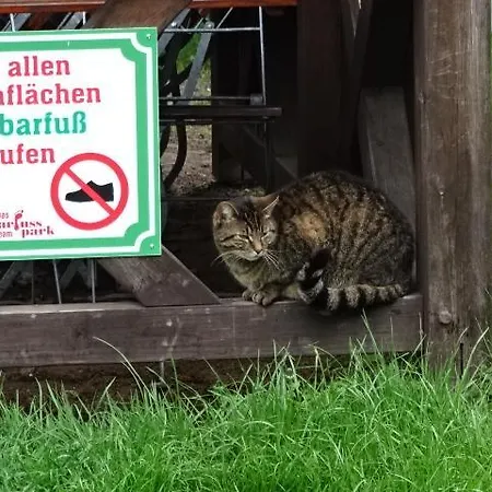 & Am Kurfuerstendamm 게스트하우스 3*