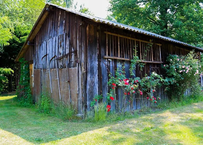 Gæstehus & Am Kurfuerstendamm Burg