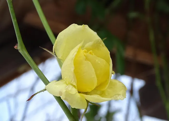 & Am Kurfuerstendamm