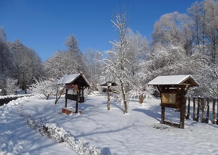 Gæstehus & Am Kurfuerstendamm Burg