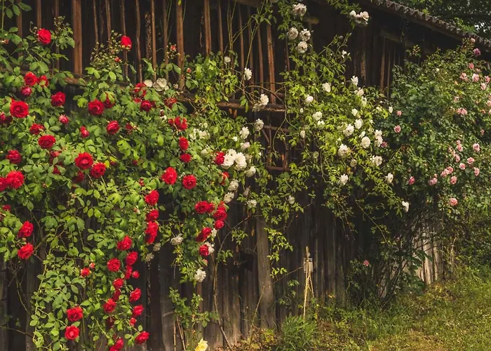 Gæstehus & Am Kurfuerstendamm 3*