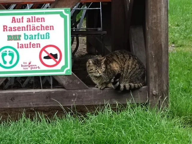 & Am Kurfuerstendamm Gæstehus 3*